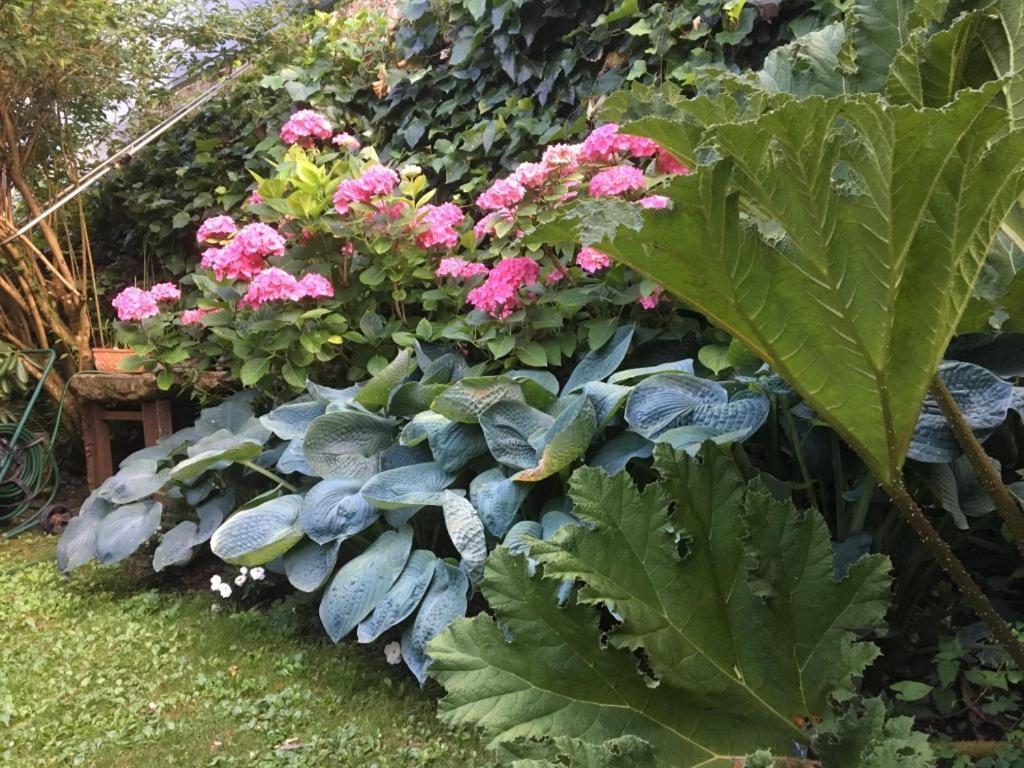 Cote Jardin, Chambres D'Hotes B&B Le Pont-de-Beauvoisin Eksteriør bilde